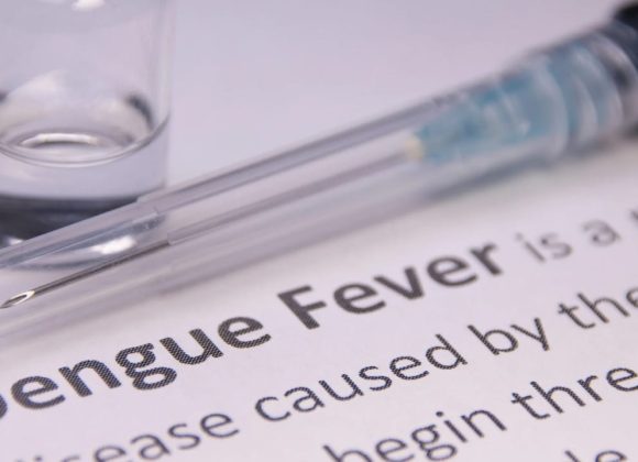 Is Dengue Contagious? Myths and Facts Explained dengue