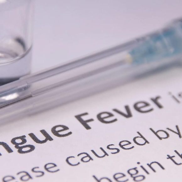 dengue