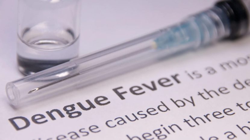 dengue