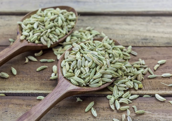 Fennel Seeds for gastric problem