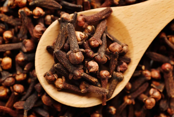 Clove for Nausea