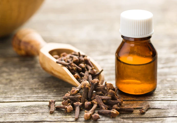 Clove oil for Tooth Pain