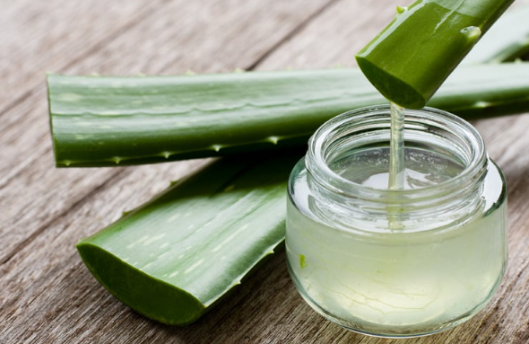 Aloe vera gel for Dandruff