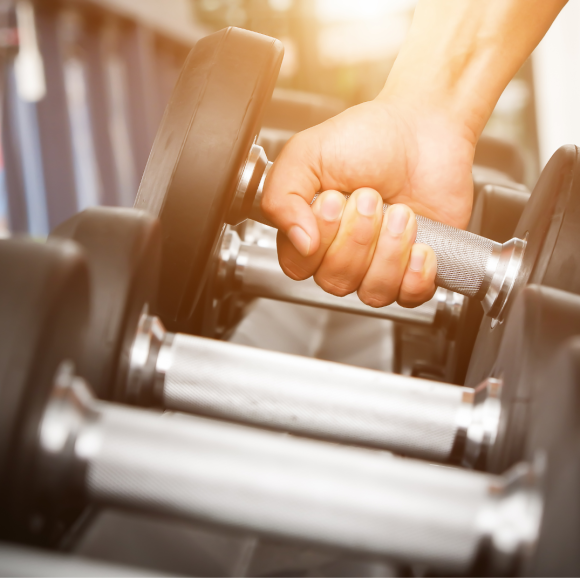 Best Gym Workouts for Beginners