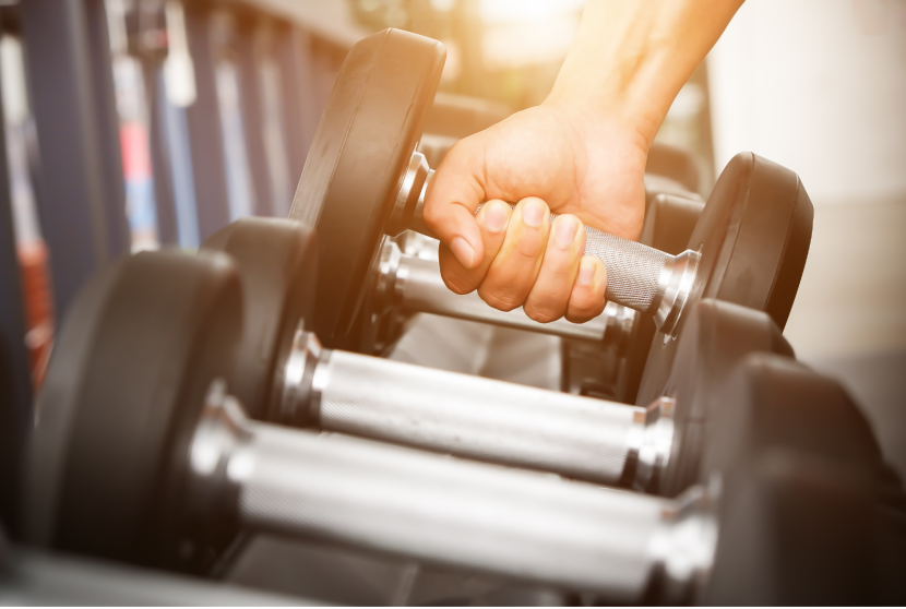 Best Gym Workouts for Beginners